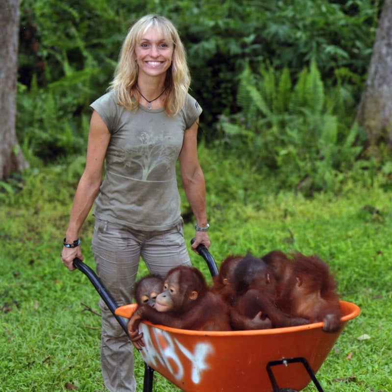 Michaela Strachan